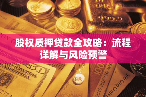北京股权质押贷款全攻略：流程详解与风险预警