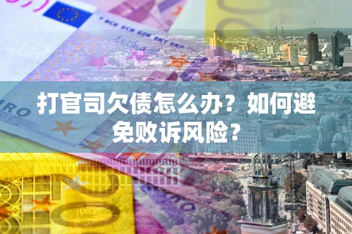北京打官司欠债怎么办？如何避免败诉风险？