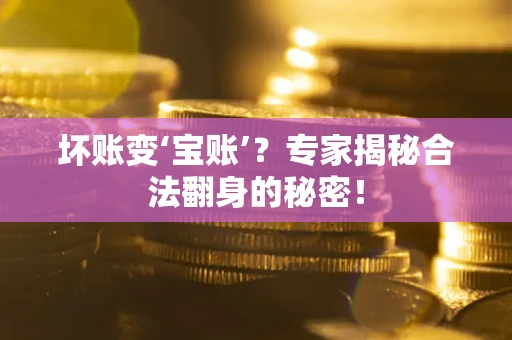 北京坏账变‘宝账’？专家揭秘合法翻身的秘密！