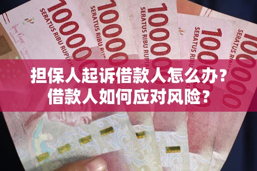 北京担保人起诉借款人怎么办？借款人如何应对风险？
