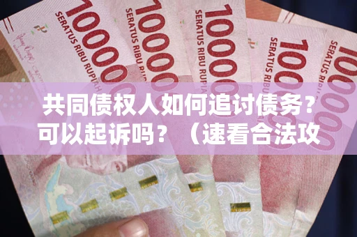 北京共同债权人如何追讨债务？可以起诉吗？（速看合法攻略）