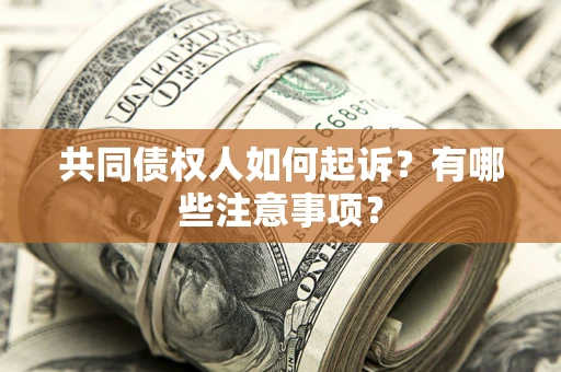 北京共同债权人如何起诉？有哪些注意事项？